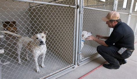 Santa rosa county animal shelter - Individuals interested in the program can find more information and fill out an application online at santarosa.fl.gov or contact Santa Rosa County Animal Services at 850-983-4680. Annie Blanks ...